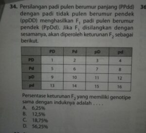 Perbandingan Genotip dan Fenotip F1 pada Persilangan Mangga Besar × Kecil