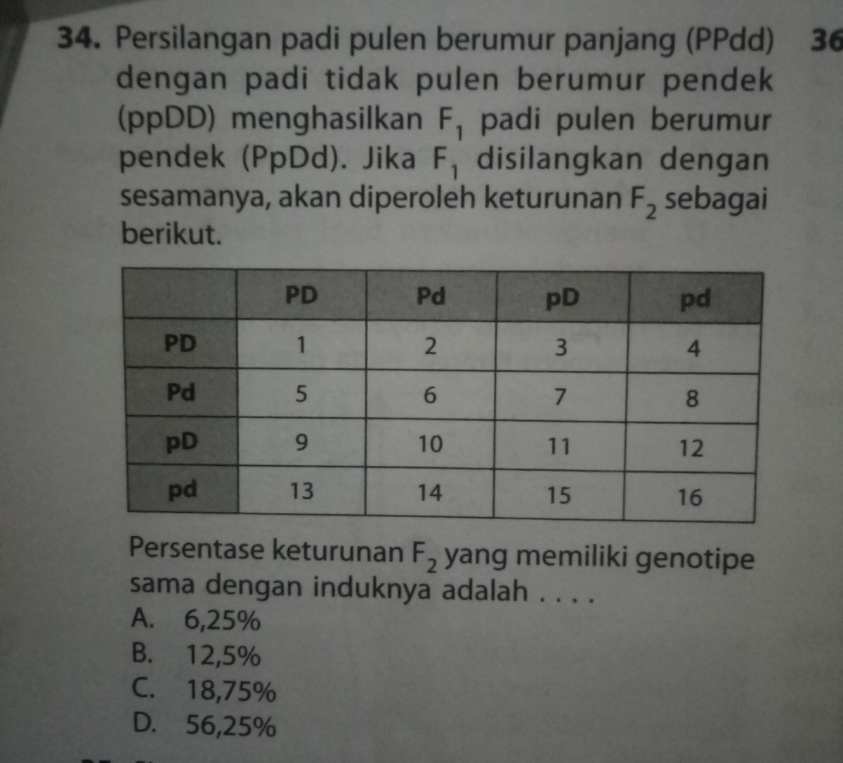 Perbandingan Genotip dan Fenotip F1 pada Persilangan Mangga Besar × Kecil