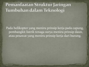 Teknologi Manusia Terinspirasi Ayat Kauniyah: Helikopter Meniru Terbang Capung
