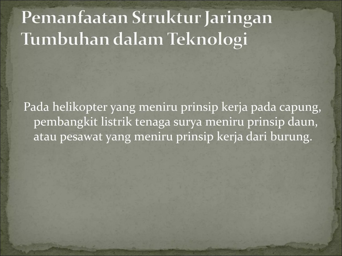 Teknologi Manusia Terinspirasi Ayat Kauniyah: Helikopter Meniru Terbang Capung