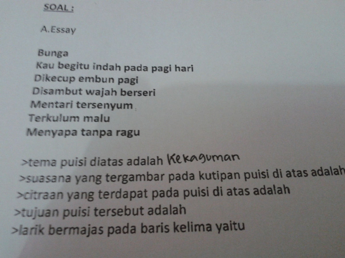 Puisi untuk Kakak Kelas yang Baik