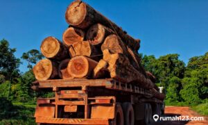 Luas kayu untuk peti 2m × 0,75m × 0,5m