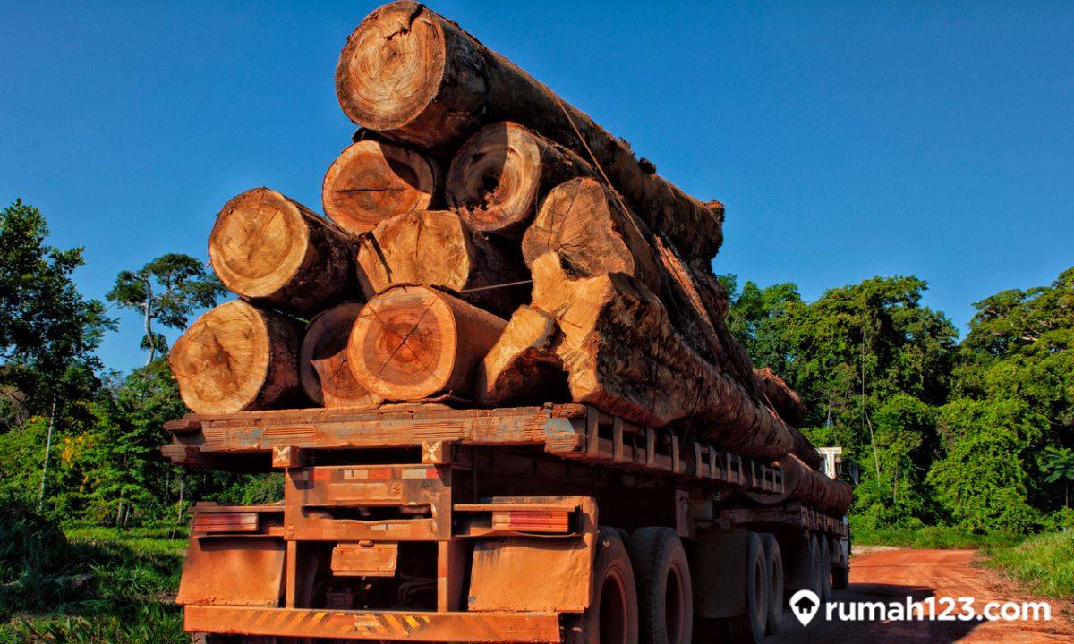 Luas kayu untuk peti 2m × 0,75m × 0,5m