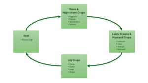 Pergiliran Tanaman (Crop Rotation) Sesuai Tipe Pertanian