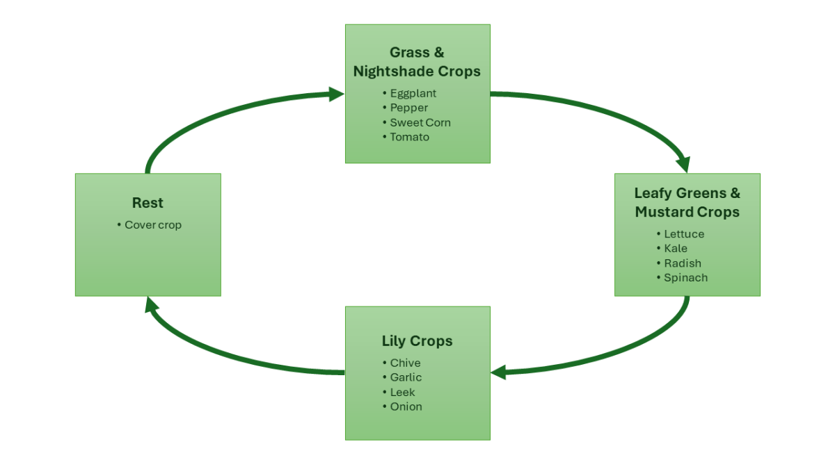 Pergiliran Tanaman (Crop Rotation) Sesuai Tipe Pertanian