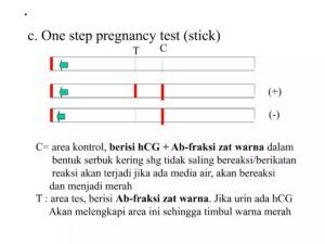 Hormon Indikator pada Tes Kehamilan