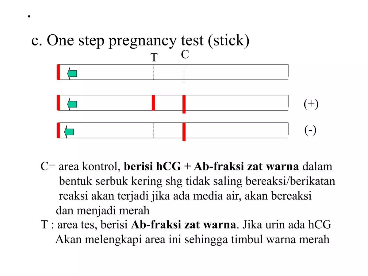 Hormon Indikator pada Tes Kehamilan