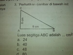 Luas Persegi Panjang ABCD dari Segitiga Siku‑siku ABE