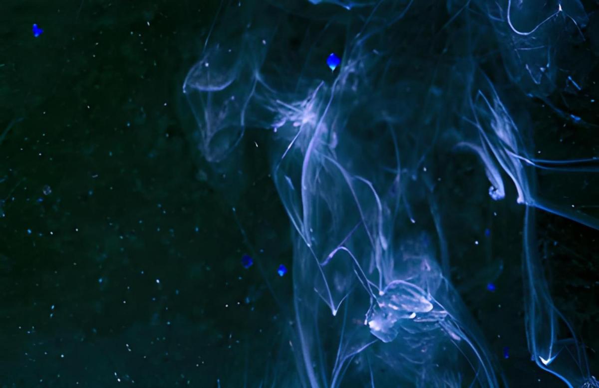 Prinsip Kerja Difusi