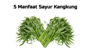Kandungan Vitamin pada Sayur Kangkung