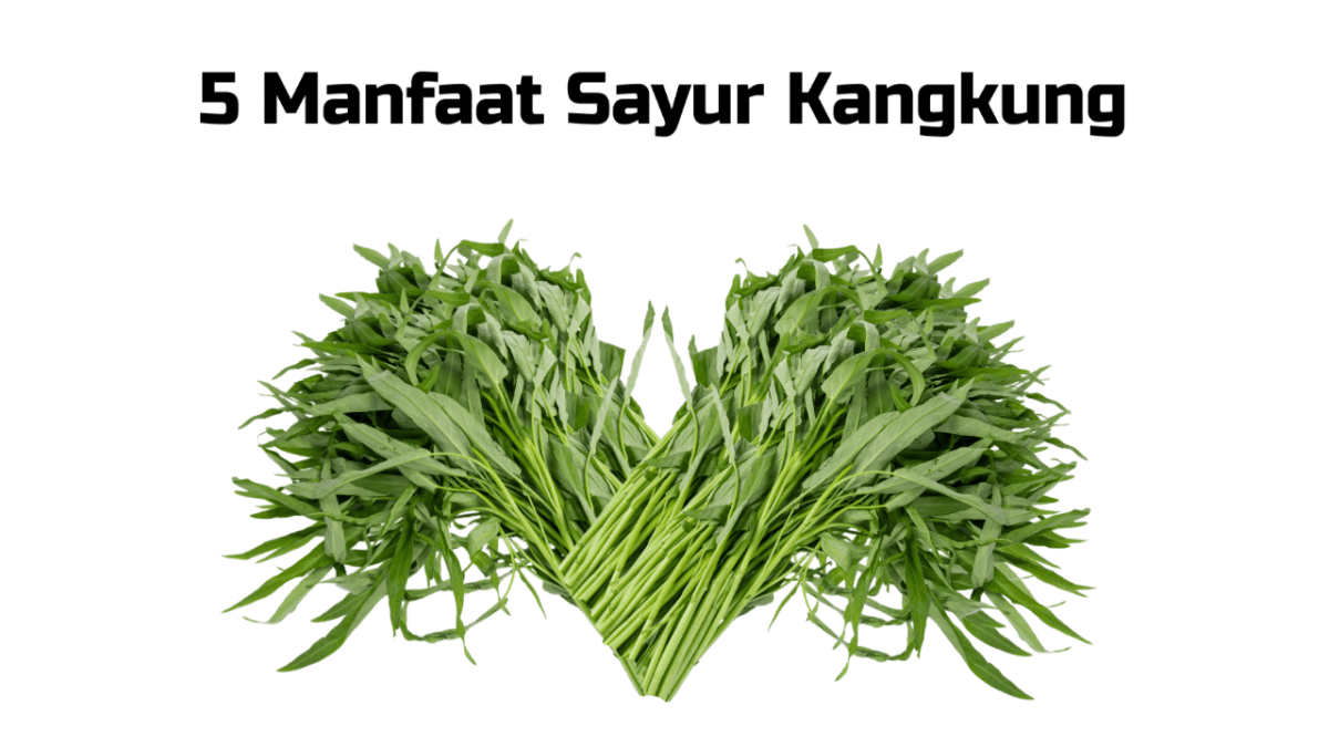 Kandungan Vitamin pada Sayur Kangkung