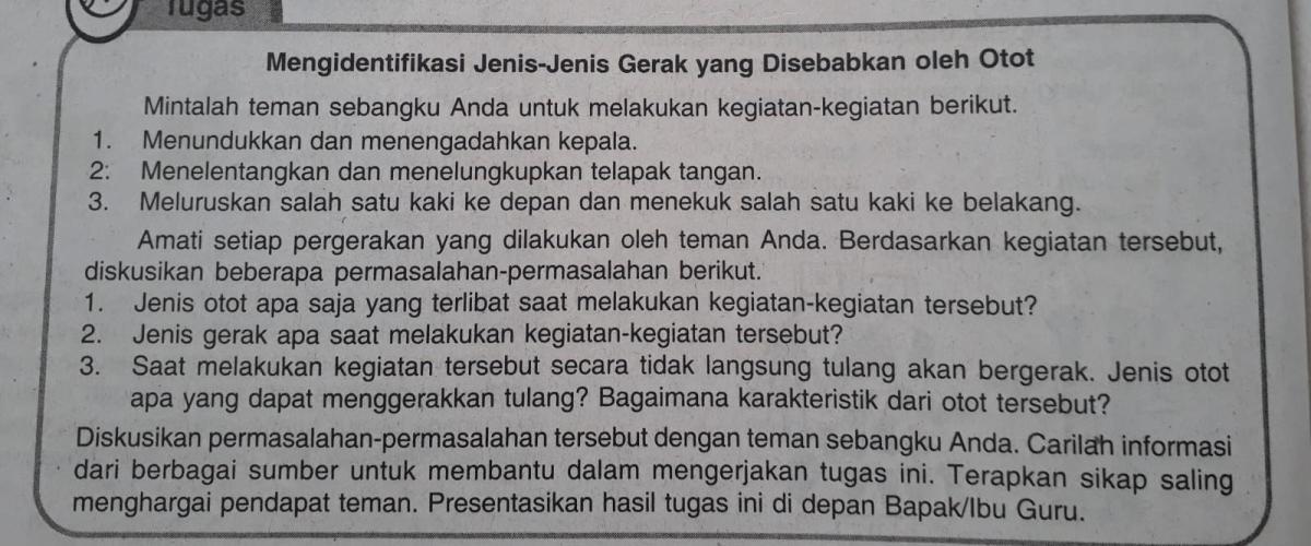 Jawab Nomor 7 Pluses Besok di Kumpul