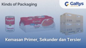Kerja Sama Keluarga dalam Kelompok: Primer, Sekunder, Tersier, Kompleks