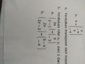 Hitung nilai z per y dari perbandingan x/y dan z/x