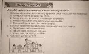 Minta Tolong Jawaban