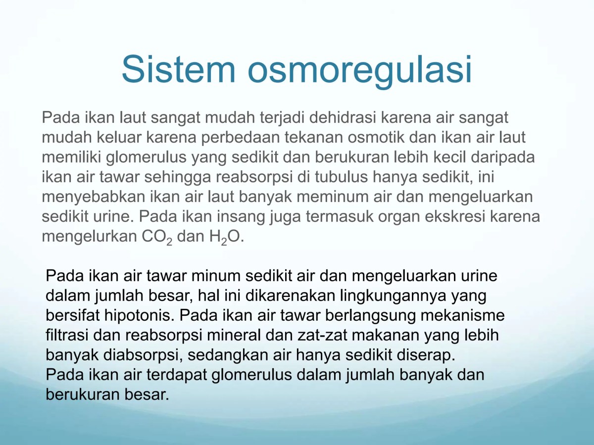 Urine ikan laut lebih pekat dibandingkan ikan tawar: termasuk fisiologi