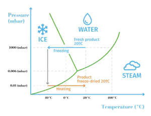 Fungsi Freeze Drying