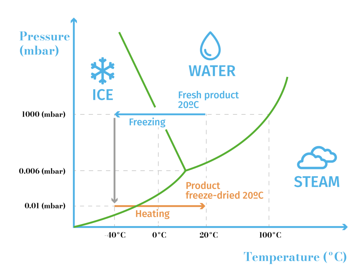 Fungsi Freeze Drying