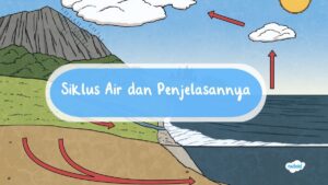 Perbedaan Siklus Air Pendek dan Panjang