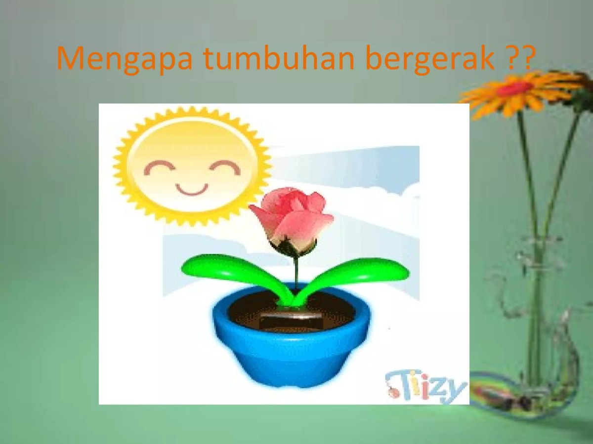 Kriteria Tumbuhan Dikatakan Bergerak