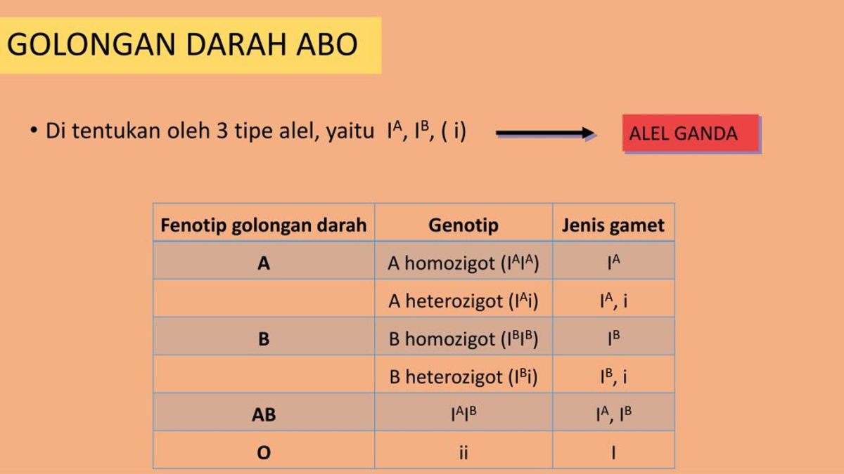 Kemungkinan Fenotip yang Dihasilkan Golongan Darah ABO