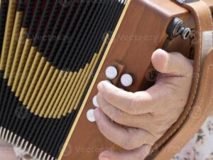 Fungsi Permainan Musik Accordion di Prancis