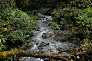 Menjaga Kelestarian Daerah Aliran Sungai (DAS)