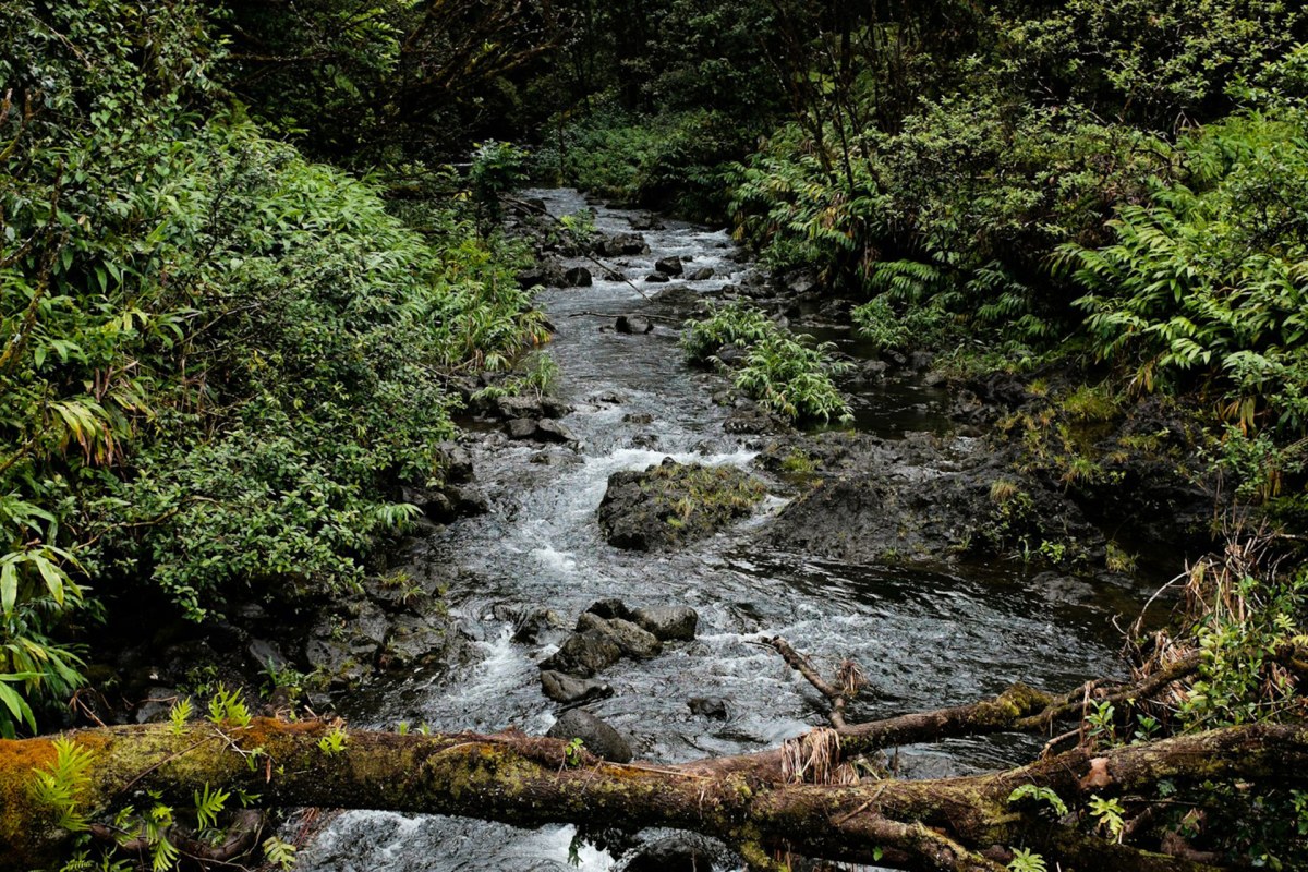 Menjaga Kelestarian Daerah Aliran Sungai (DAS)