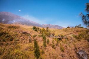 Gede dan Ayuk Bertemu di Rute 16 km dengan Kecepatan Berbeda