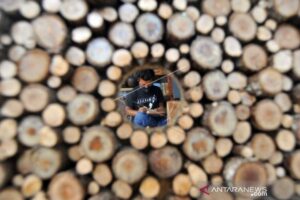 Pemanfaatan limbah kayu sebagai media kerajinan batik mengatasi keterbatasan kain