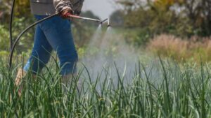 Dampak Penggunaan Pestisida Berlebihan di Lahan Pertanian