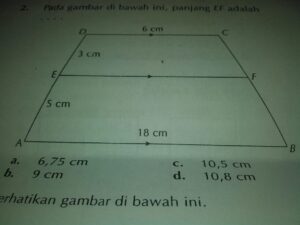Hitung panjang EF dalam cm