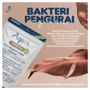 Kondisi Tanah Favorit Bakteri Penguraian