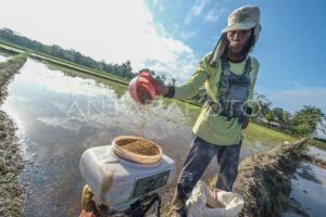 Pola Pembukaan Lahan Pertanian Manusia Purba yang Sudah Bermukim dan Bercocok Tanam
