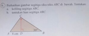 Pernyataan yang benar untuk segitiga siku‑siku ABC