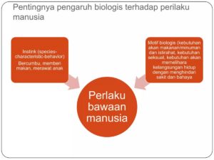 Kondisi yang Mencerminkan Perbuatan Manusia