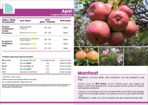 Berat Bersih 25 Dos Apel Hijau 450 kg