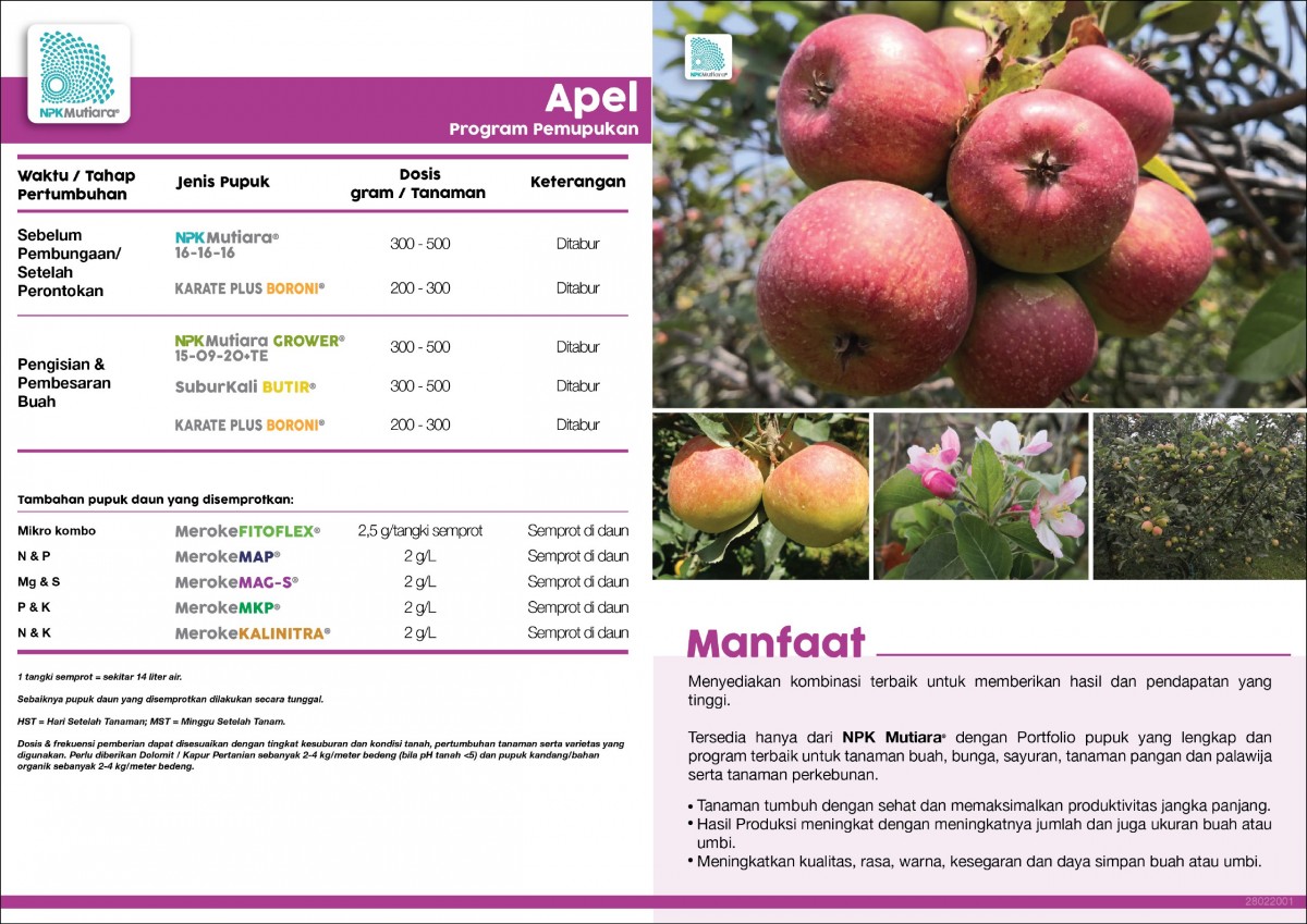 Berat Bersih 25 Dos Apel Hijau 450 kg