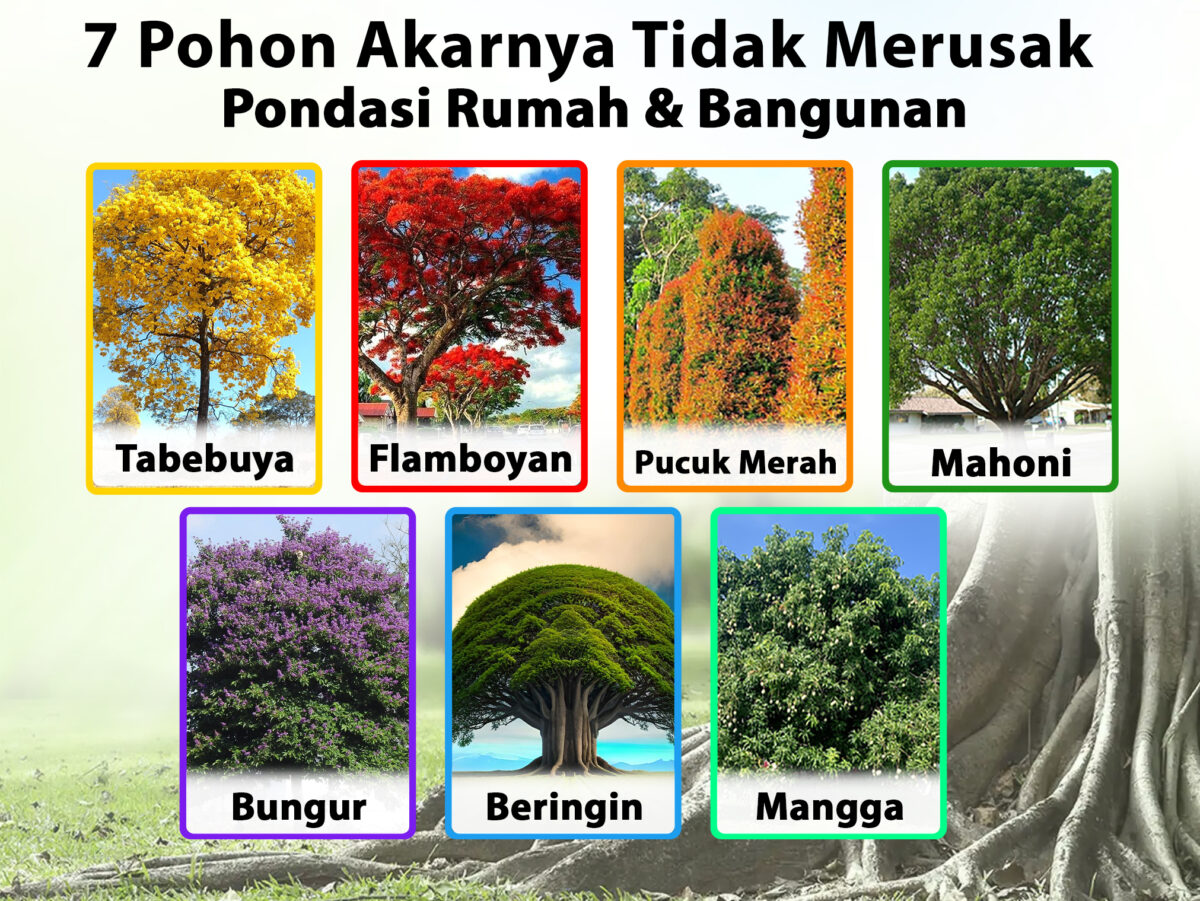 Jenis Pohon Tumbuh: Hutan Dibagi Dua, Termasuk Industri