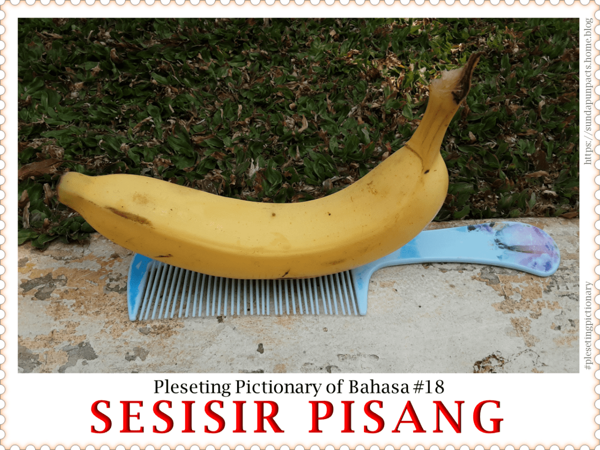 Pengertian Pisang Sesisir