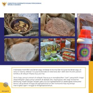 Upaya Mengangkat Produk Pangan Sagu Agar Diterima Masyarakat