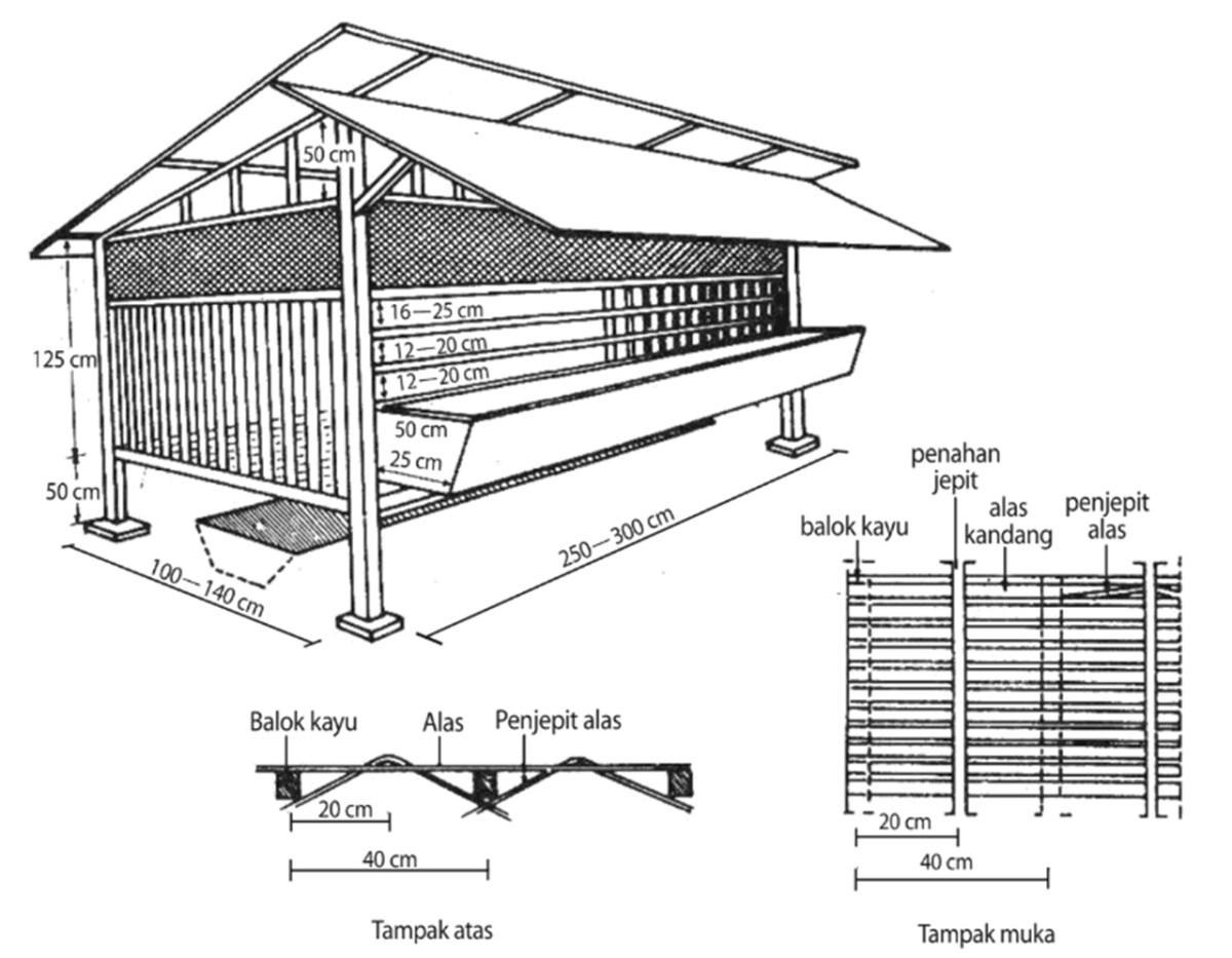 Dari 42 ekor kambing yang ada di kandang milik Pak Arman, 30 ekor kambing menyukai rumput gajah dan 28 ekor kambing menyukai rumput teki. Apabila ada