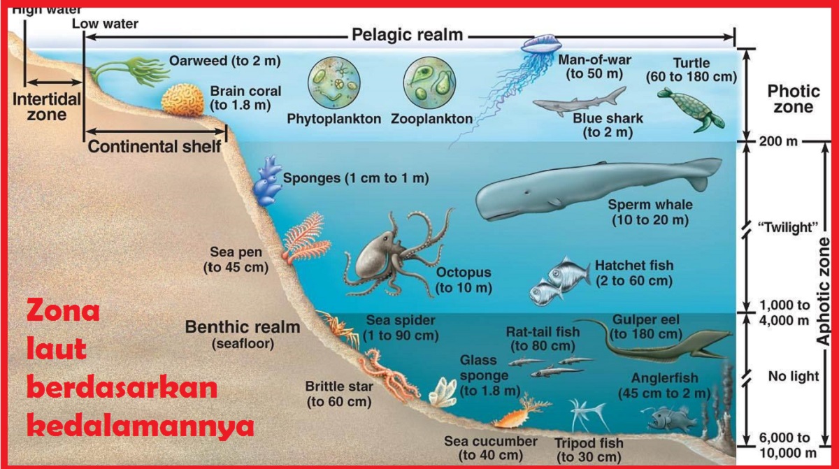 Istilah Bagian Laut Paling Dalam
